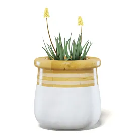 Flowersinlargemodernpot